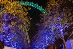 London Eye at night